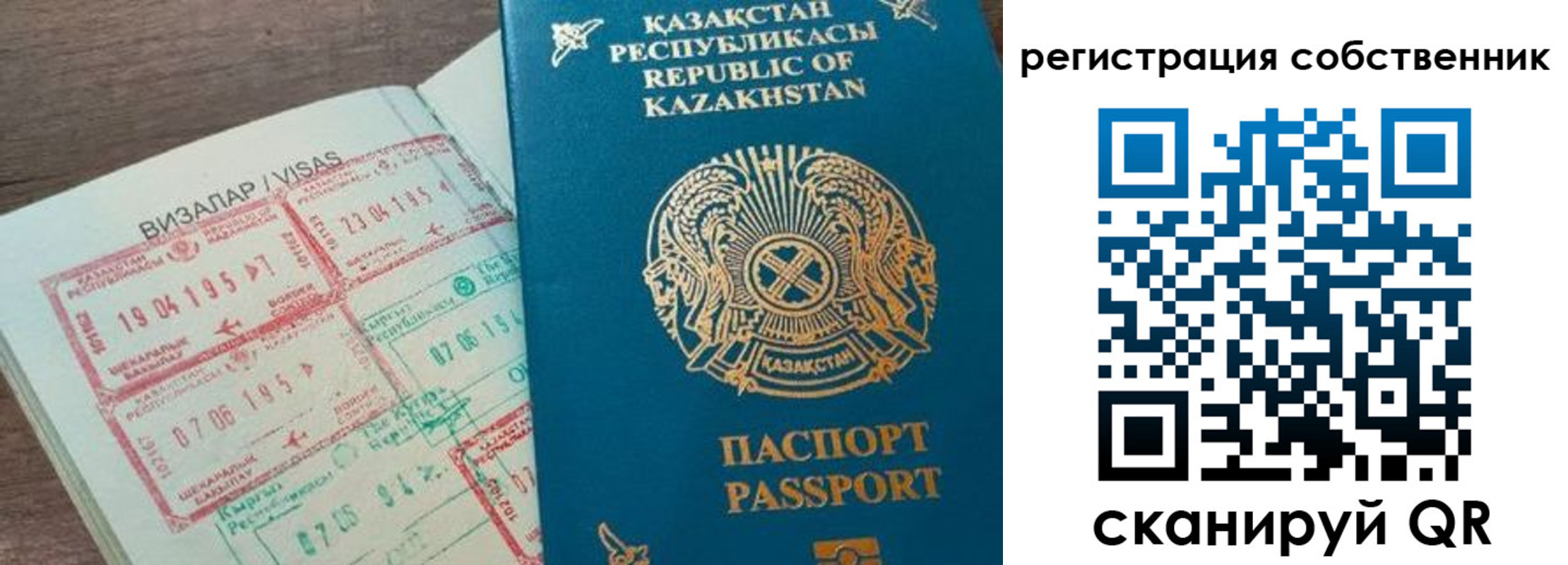 временная регистрация поиск в Петропавловске-Камчатском